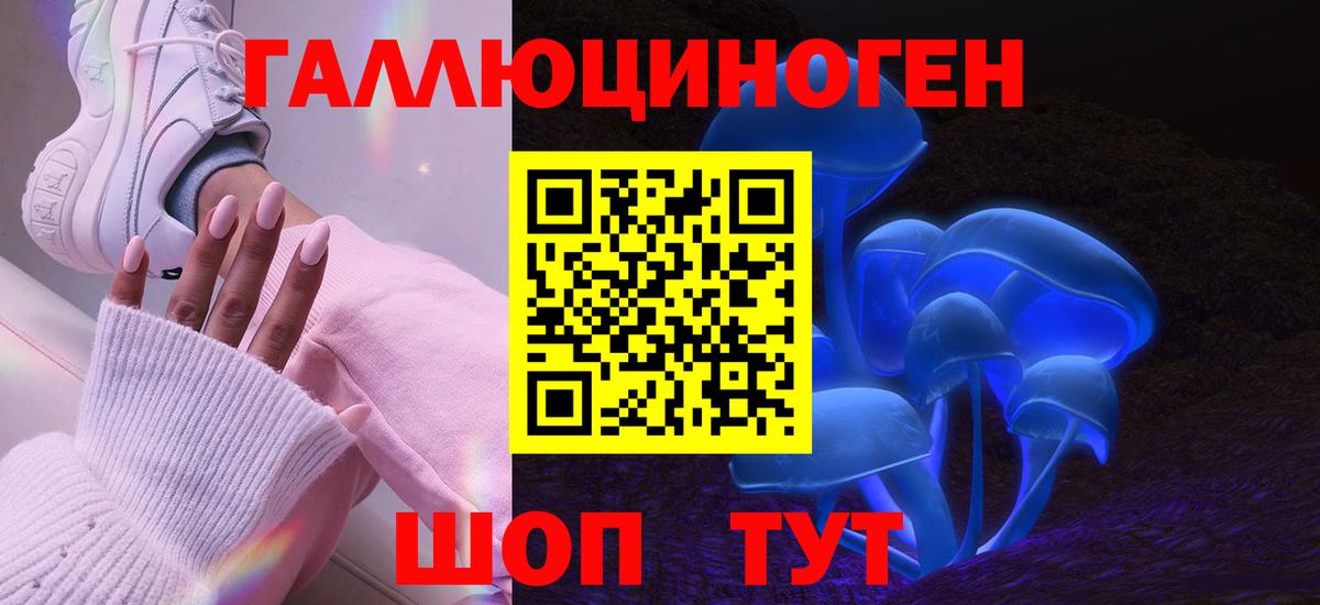 Псилоцибиновые грибы Cubensis  Вход с VPN  Карабулак 